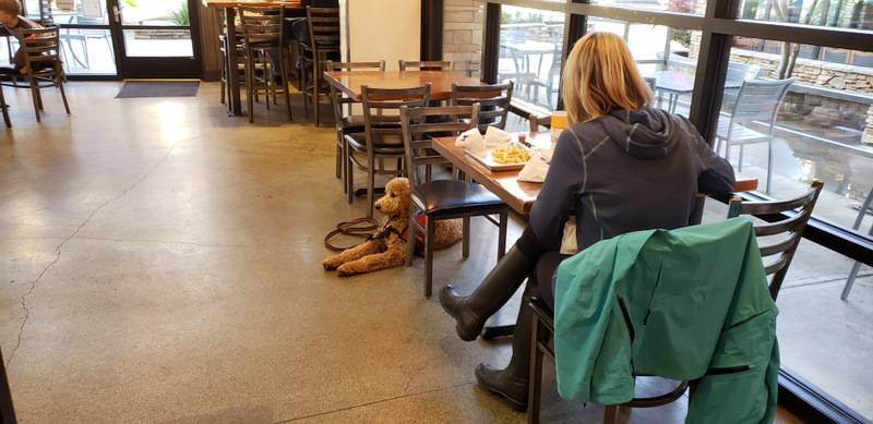 trained service dogs Wisconsin