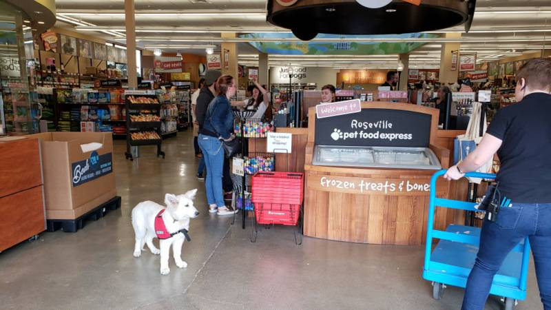 service dogs Wisconsin