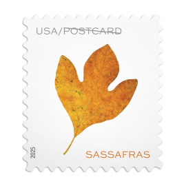 Image of Vibrant Leaves Postcard Stamps