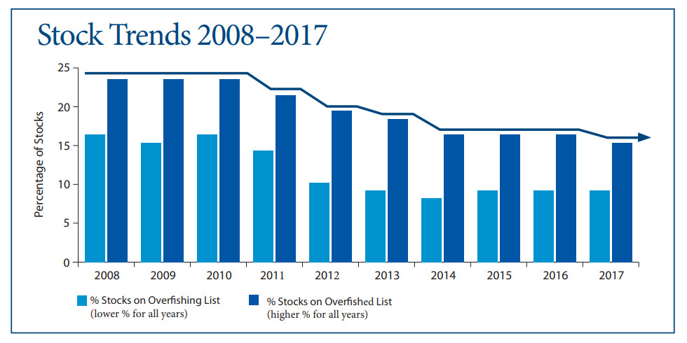 history_stock_trends.png