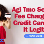 Agi Tmo Service Fee Charge on Credit Card