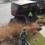 Bagless leaf removal