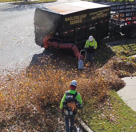 Bagless leaf removal