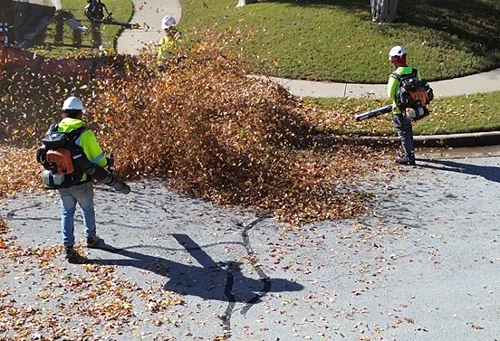 Veterans tree service bagless leaf removal