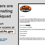 Geek Squad Customer Service Scam Alert: Image from FTC warning about scammers impersonating Geek Squad. Report fraud at ReportFraud.ftc.gov