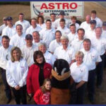 Pest Control Service at Home