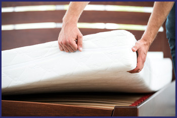 Bed Bug Control Treatment in Bedroom