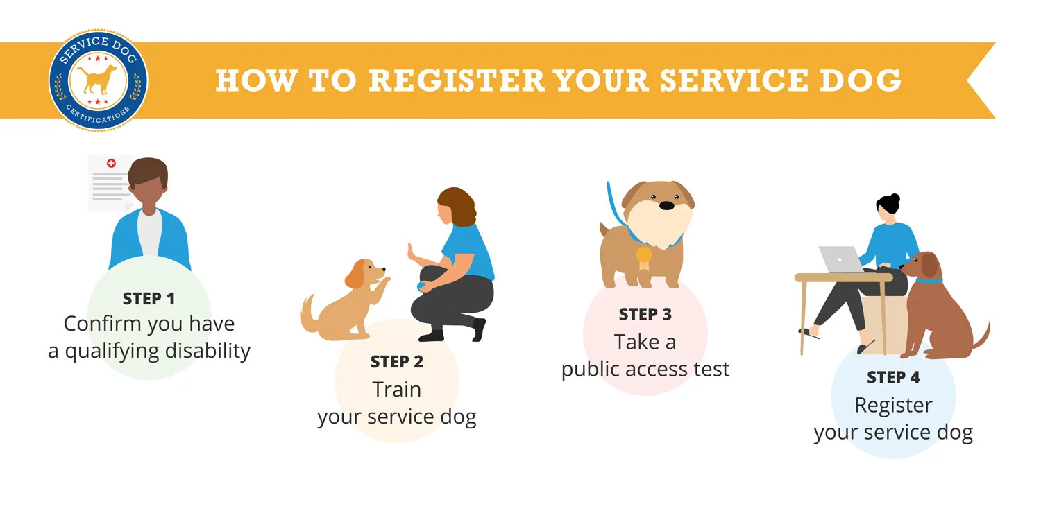 Infographic showing 4 steps on how to register your service dog