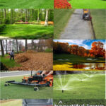 Professional Lawn Care Services