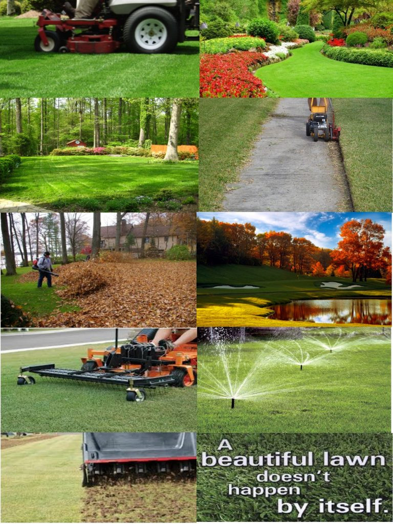 Professional Lawn Care Services