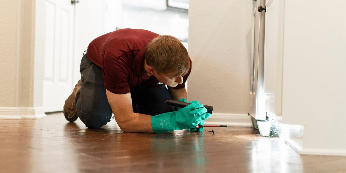 Houston Pest Control Services: ABC Home & Commercial Services provides expert exterminator solutions for your home and business.