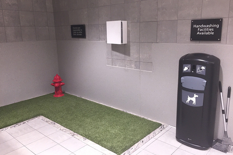 Pet Relief Area at BWI Airport