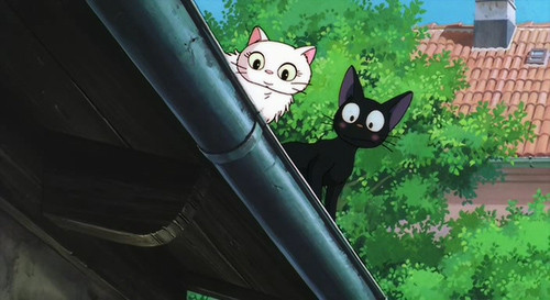 Image showcasing the two cats from Kiki's Delivery Service: Lily, a white cat, and Jiji, a black cat, highlighting their contrasting appearances.