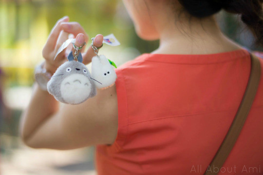 Display of Totoro themed souvenirs purchased at the Ghibli Museum, showcasing plush toys and figurines on a table.