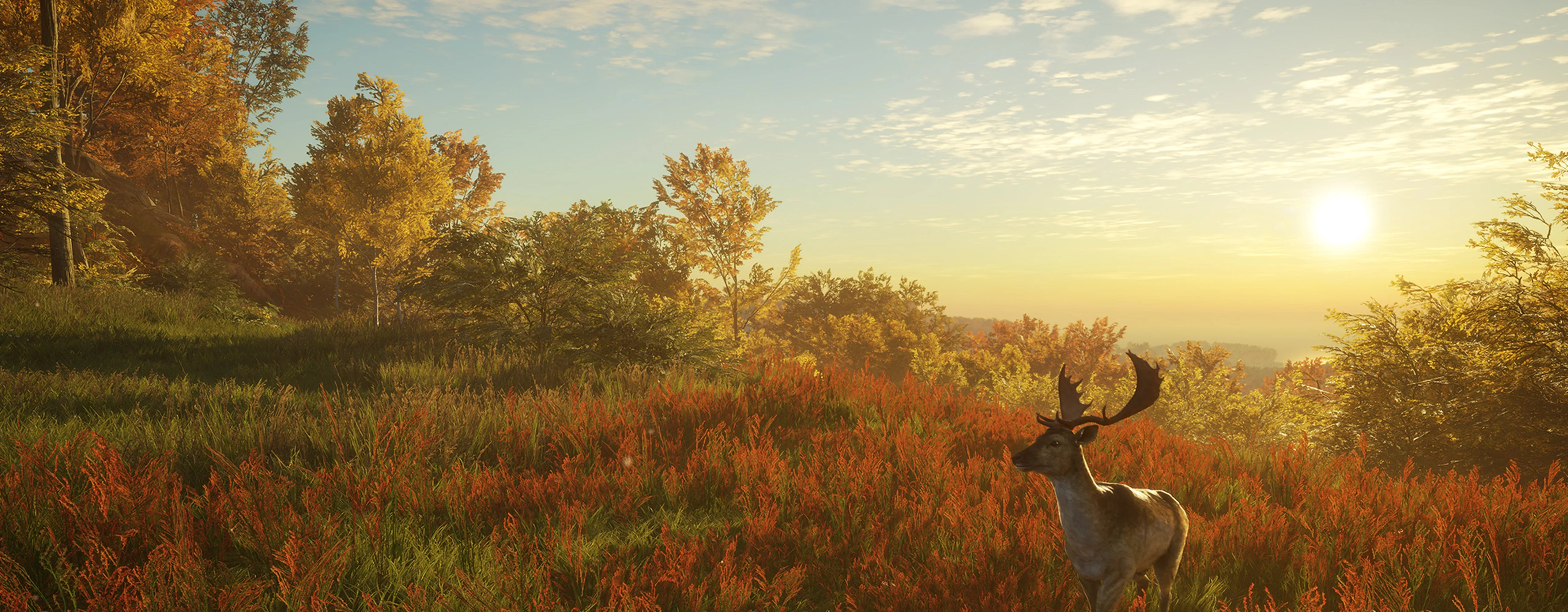 theHunter: Call of the Wild ingame hunting scene showcasing realistic graphics and wildlife