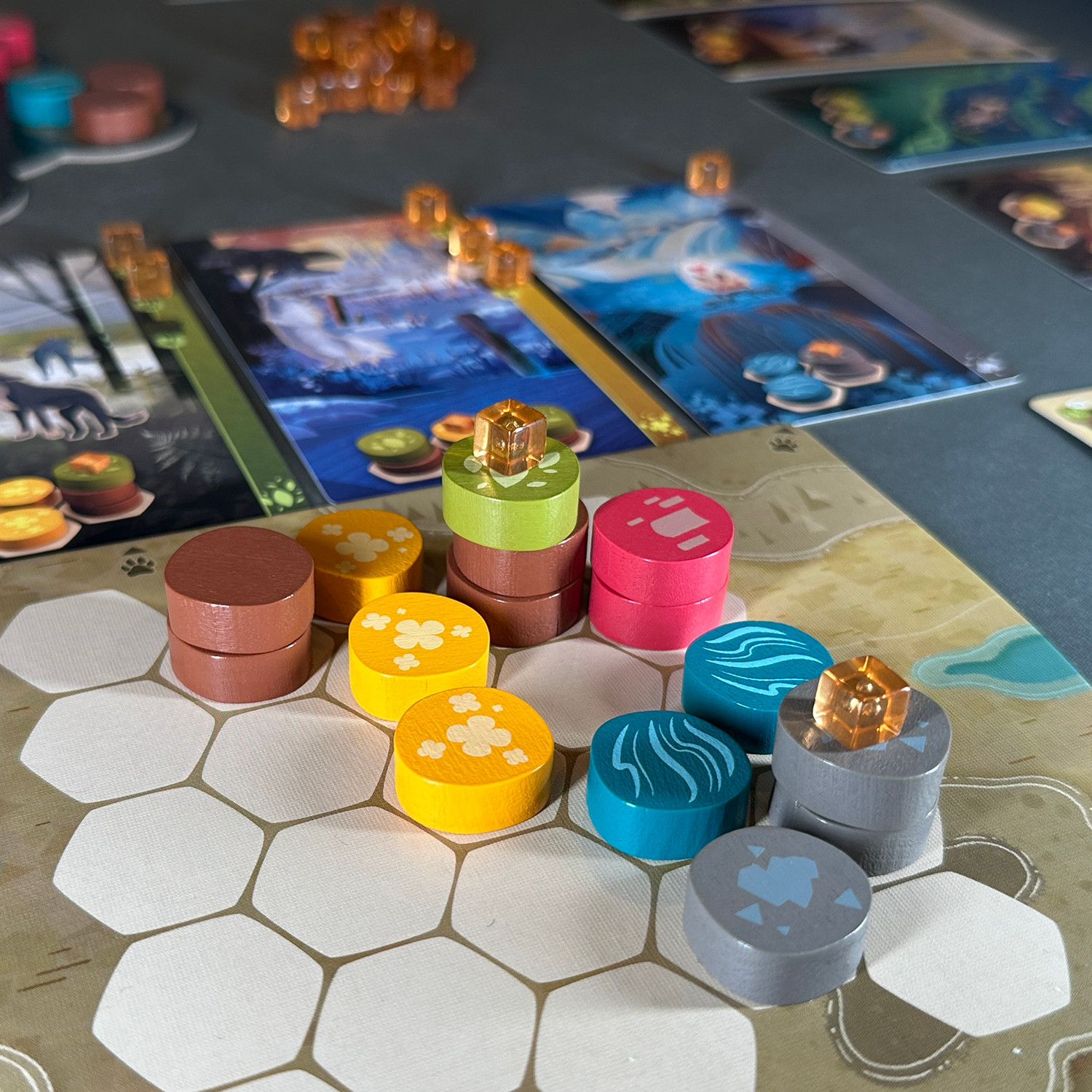 Harmonies Board Game Review Shorter Player Board
