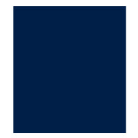 New York Yankees Baseball