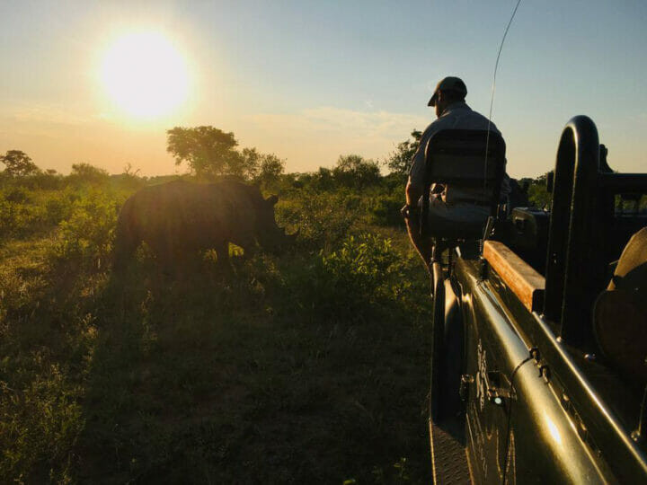 Tracker Up Close Rhino
