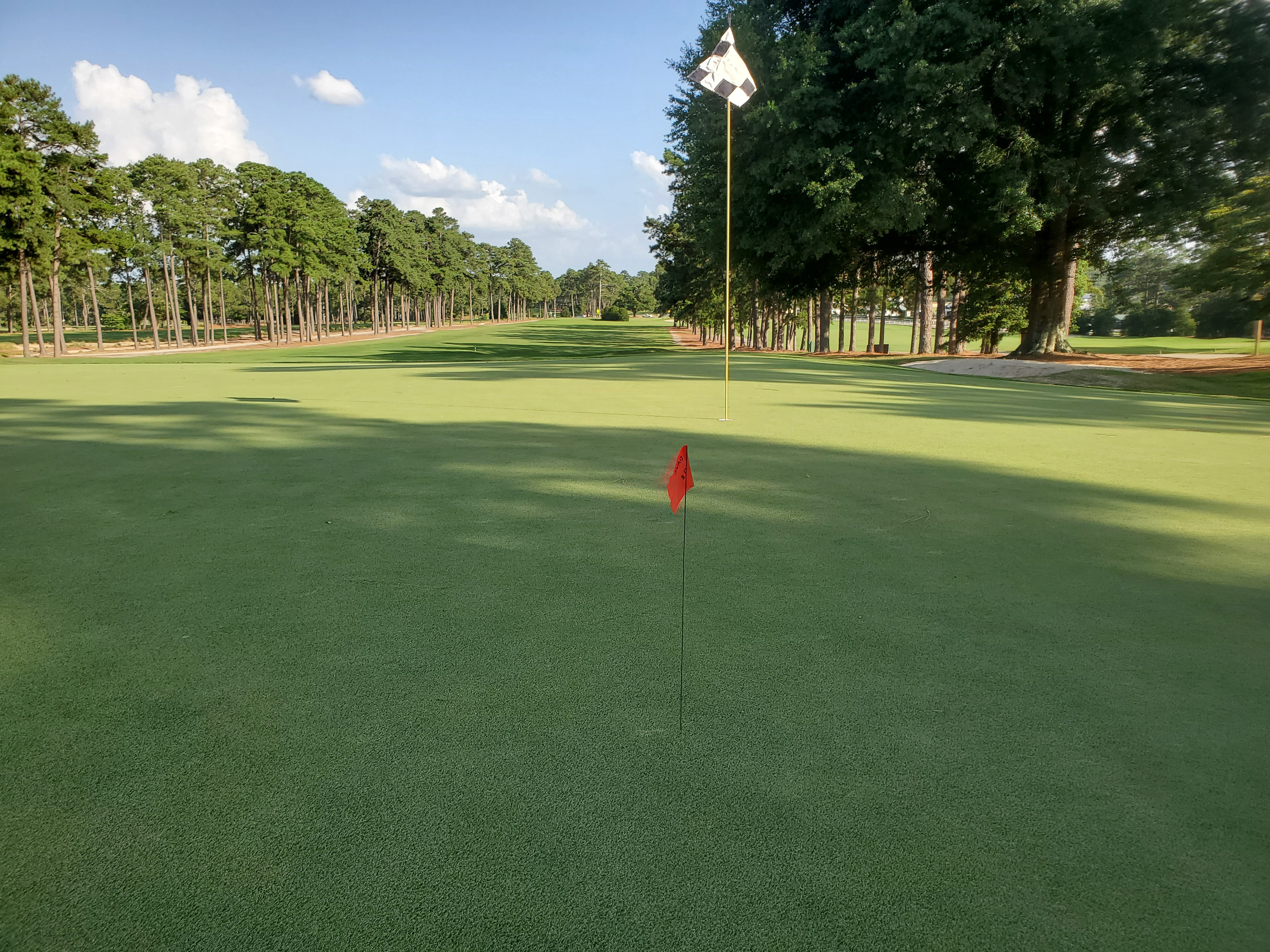 Golfer Placing Flag on Green