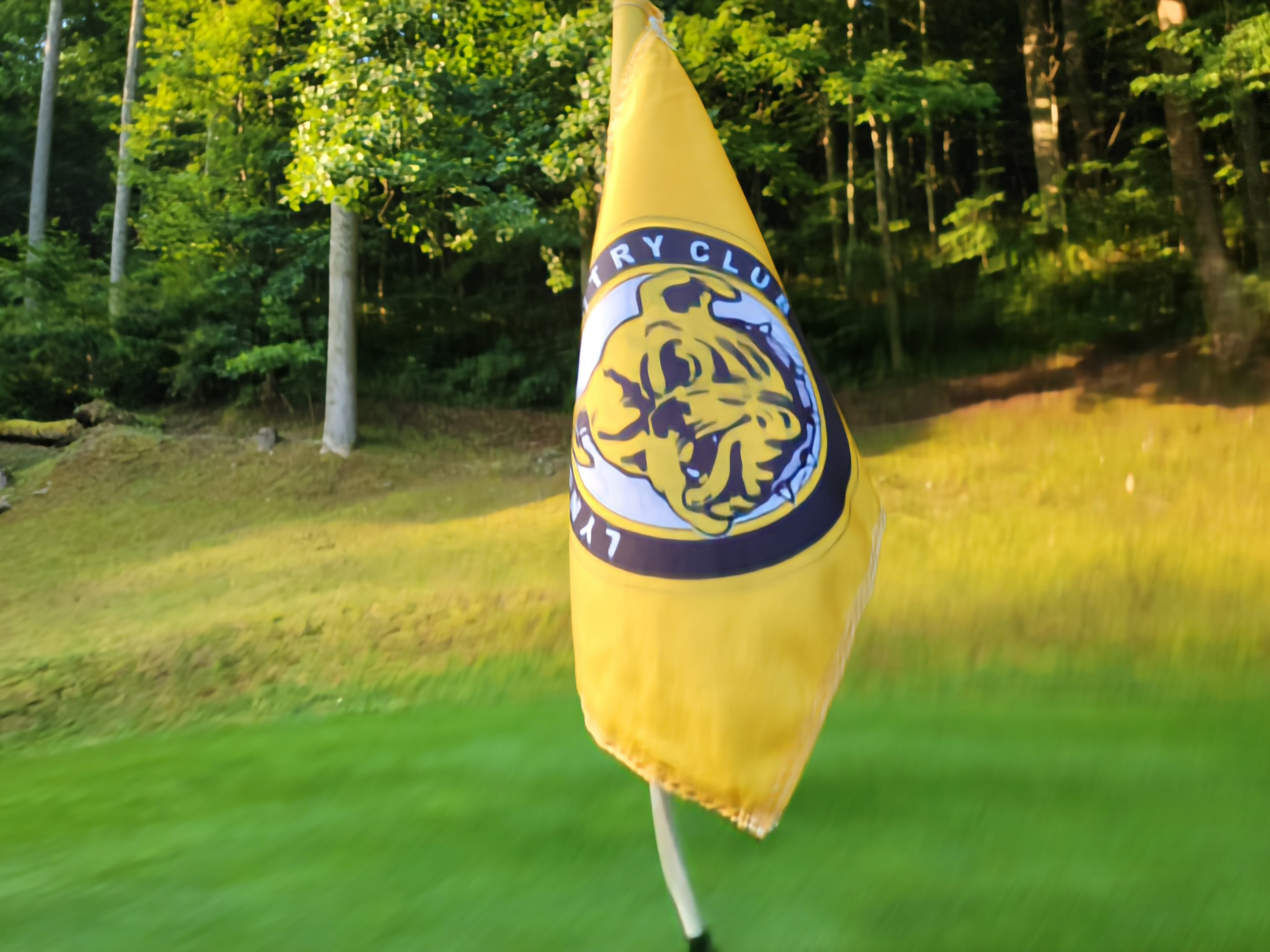 Golf flag on the green