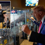 Donald Trump Jets game