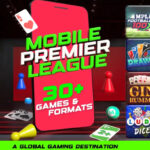 MPL Game Interface