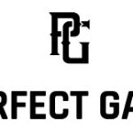Perfect Game logo on a baseball field