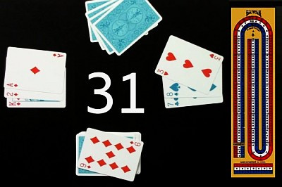 Cribbage Board