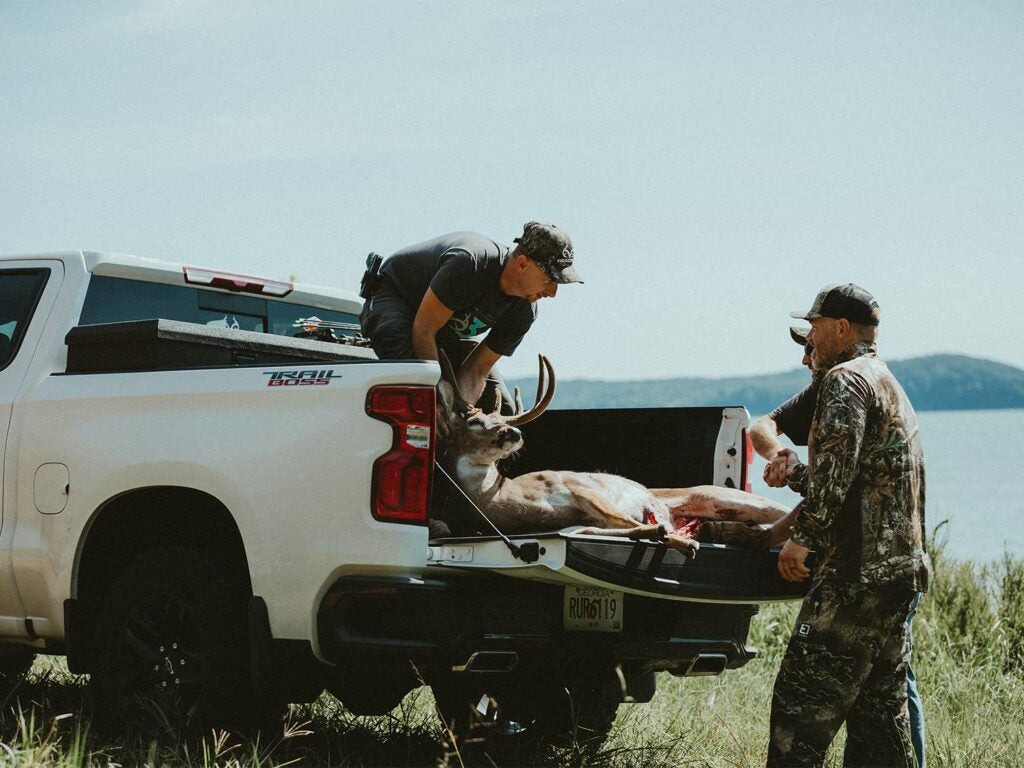 Hunters loading a large whitetail buck into the bed of a truck to prevent spoilage.