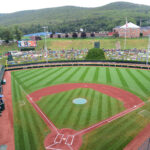 Little League World Series patch