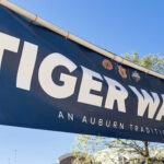 Auburn Tiger Walk