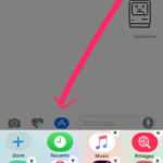 Access the App Store icon in Messages to delete Game Pigeon