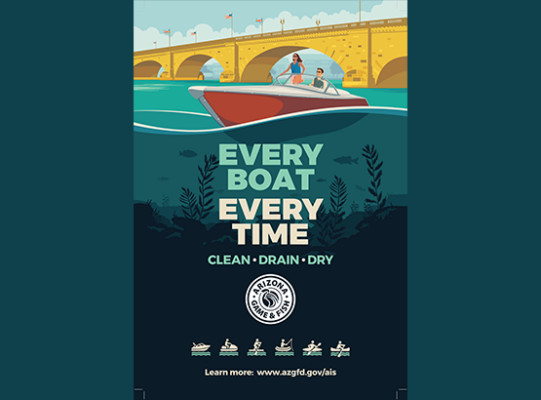 A poster illustrating Aquatic Invasive Species (AIS) and urging boaters to clean, drain, and dry their watercraft to prevent the spread of these species in Arizona waters.