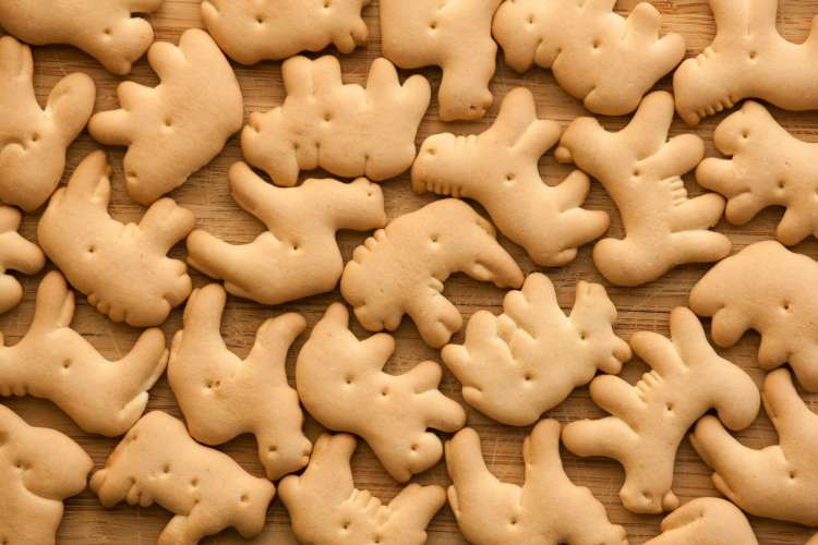 Guests guessing the number of animal crackers in a jar