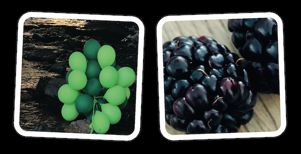 Two OuiSi Photo Cards of a blackberry and balloons. They have similar patterns.