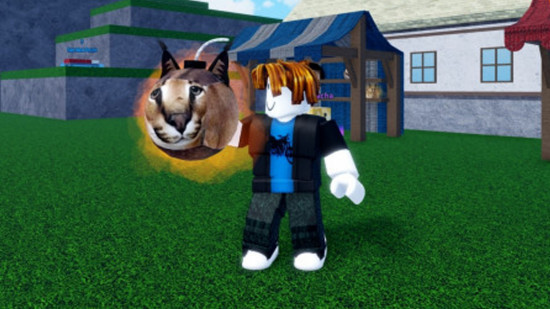Meme Sea World