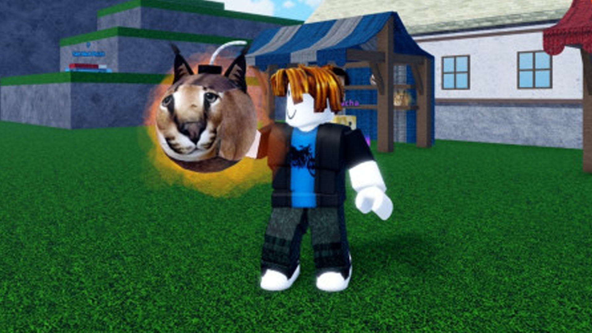 Meme Sea Alt Text: A promotional image for Meme Sea featuring various meme-inspired characters and items