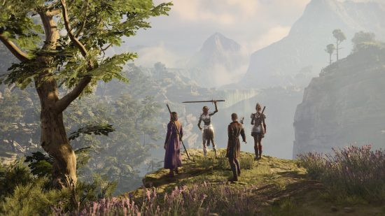 A band of adventurers gather on a grassy peak overlooking the land in Baldur