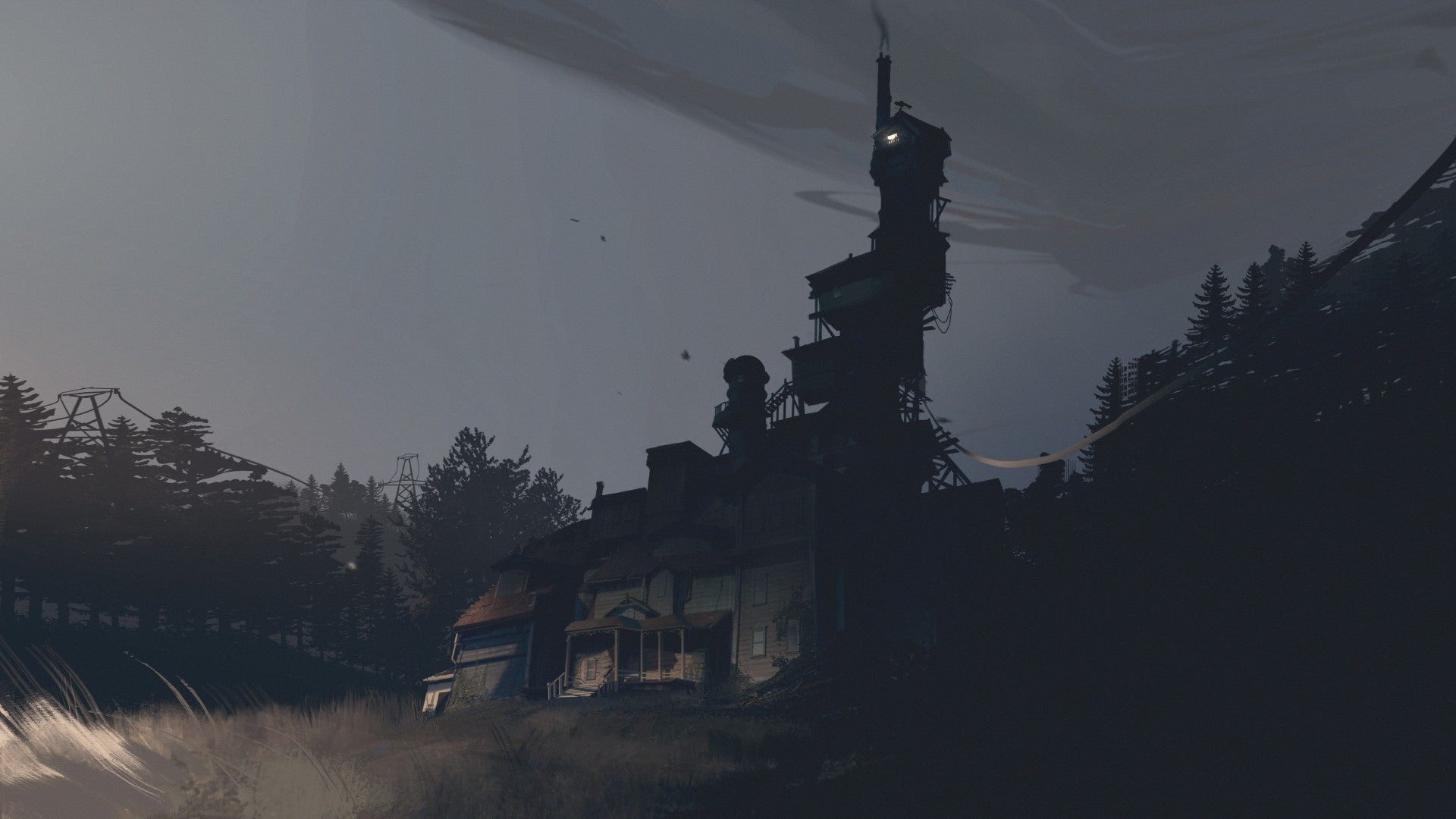 A tall house in the dark