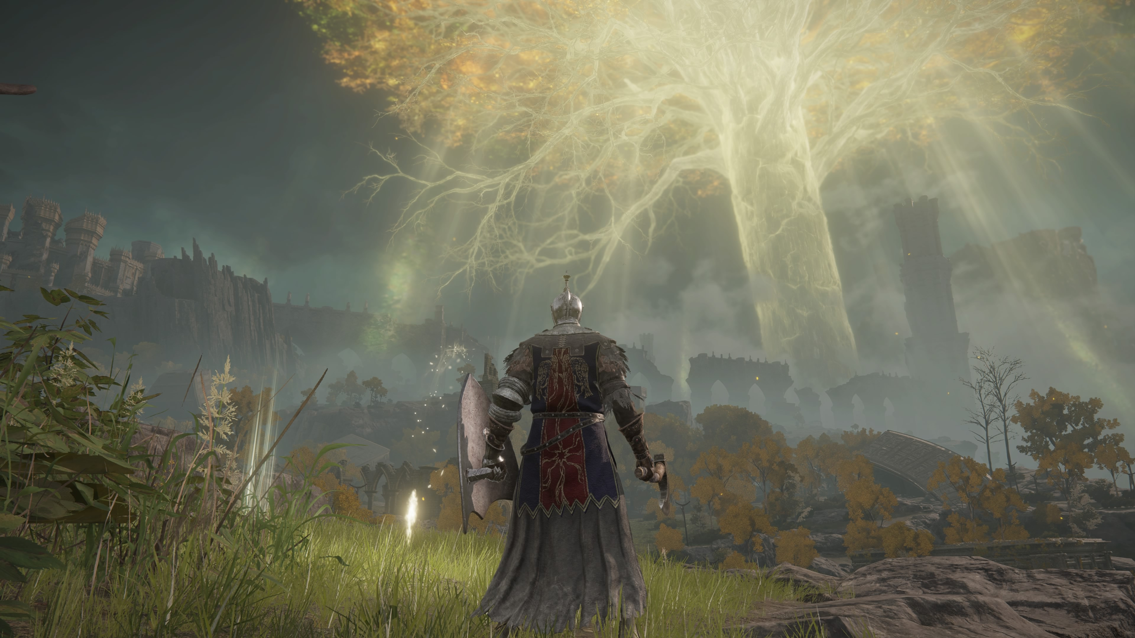 A Tarnished gazes at the Erdtree from a Site of Grace, showcasing the vast world available from the game's start