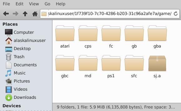Folders on the Game Stick SD Card