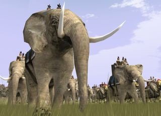 Elephants on a field in Rome: Total War