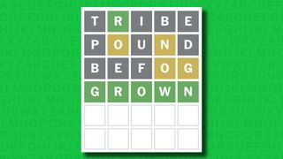 Wordle color-coded feedback