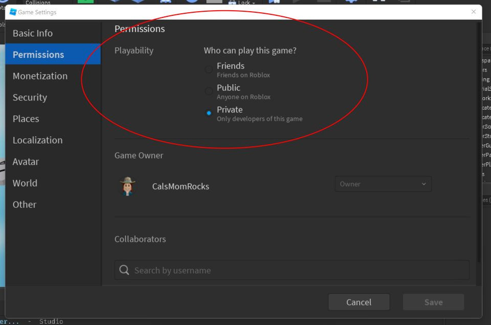 Setting Permissions in Game Settings