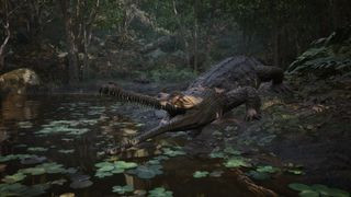 Metal Gear Solid Delta: Snake Eater game screenshot featuring a crocodile in a jungle environment.