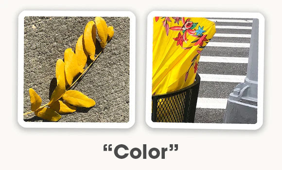 Two OuiSi photo cards connect visually based on a yellow color.