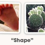 Two OuiSi photo cards connect visually based on a similar shape.