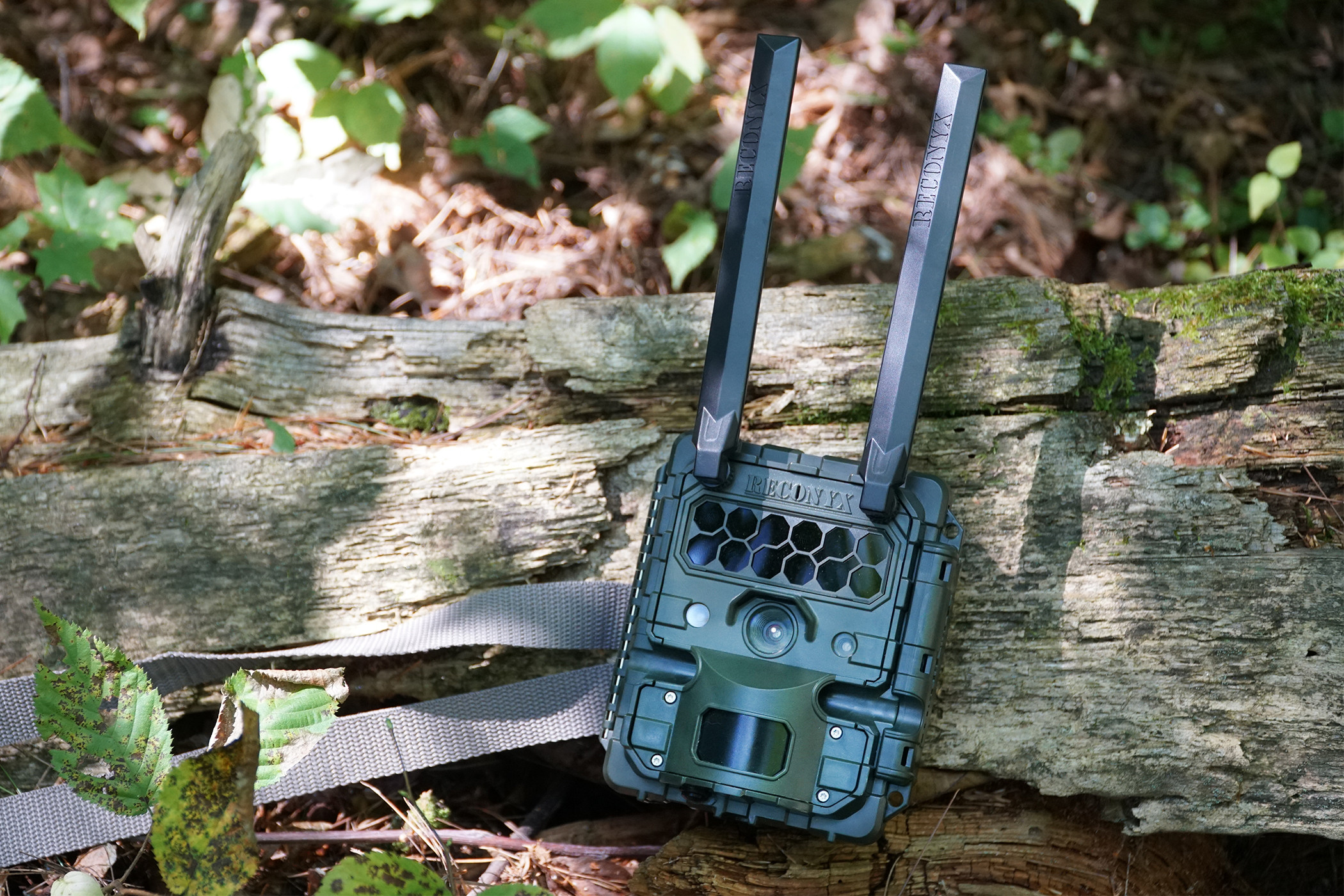 Reconyx HF2XC Hyperfire 2 Cellular (4G LTE) trail camera resting on a log in the woods.