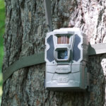 Tactacam Reveal Pro 3.0 cellular trail camera on a tree.