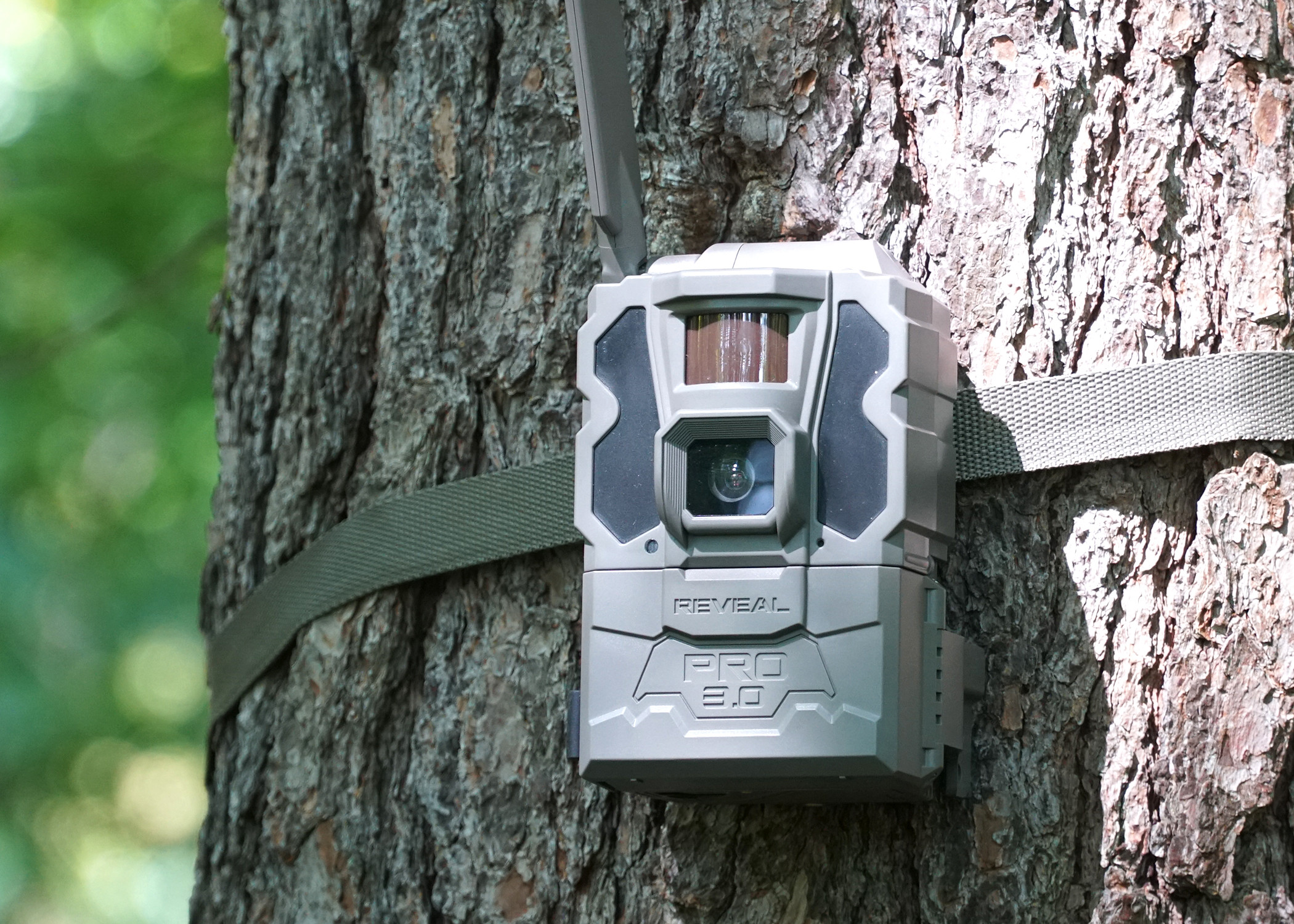 Tactacam Reveal Pro 3.0 cellular trail camera on a tree.